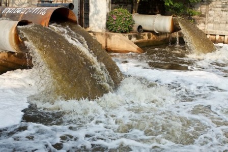 فاضلابهای صنعتی ، سرعت آبزیان را افزایش داده است