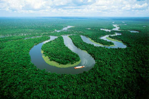 جنگل زادیی-آمازون-دی اکسید کربن