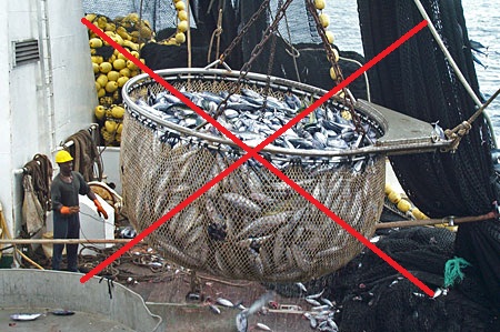 ماهیگری صنعتی بی رحم!!!