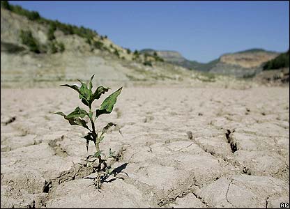 خشکسالی شدید در ۱۶ استان/ وضعیت دمای کشور