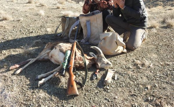 دستگیری شکارچیان متخلف و سابقه‌دار در کاشان